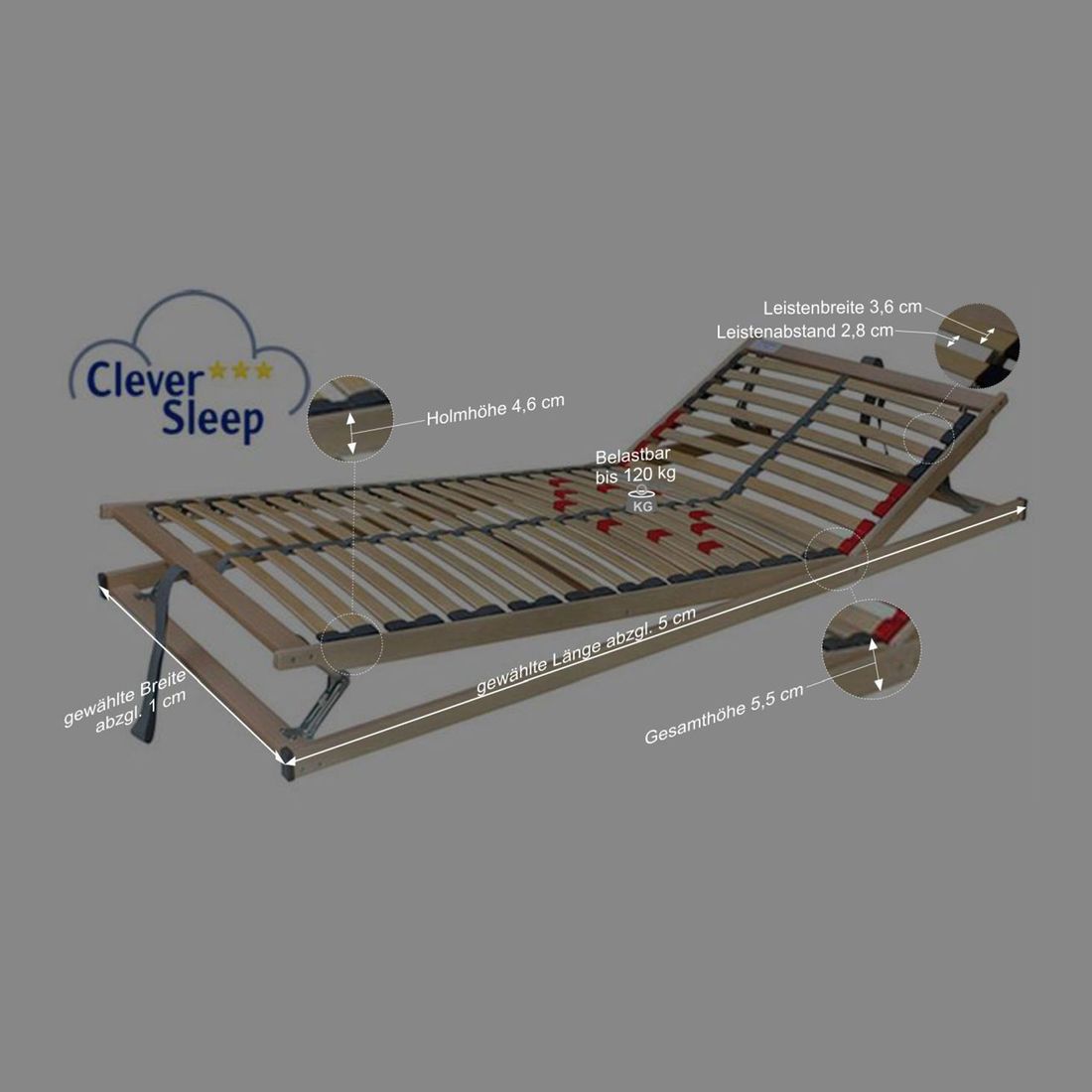 Lattenrost Cleverflex Pro