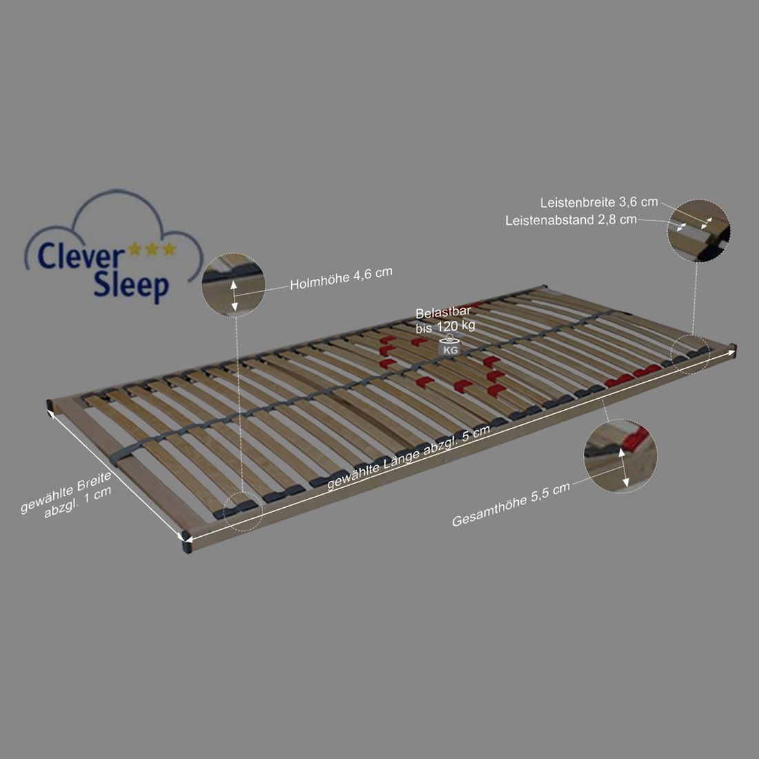 Lattenrost Cleverflex Pro