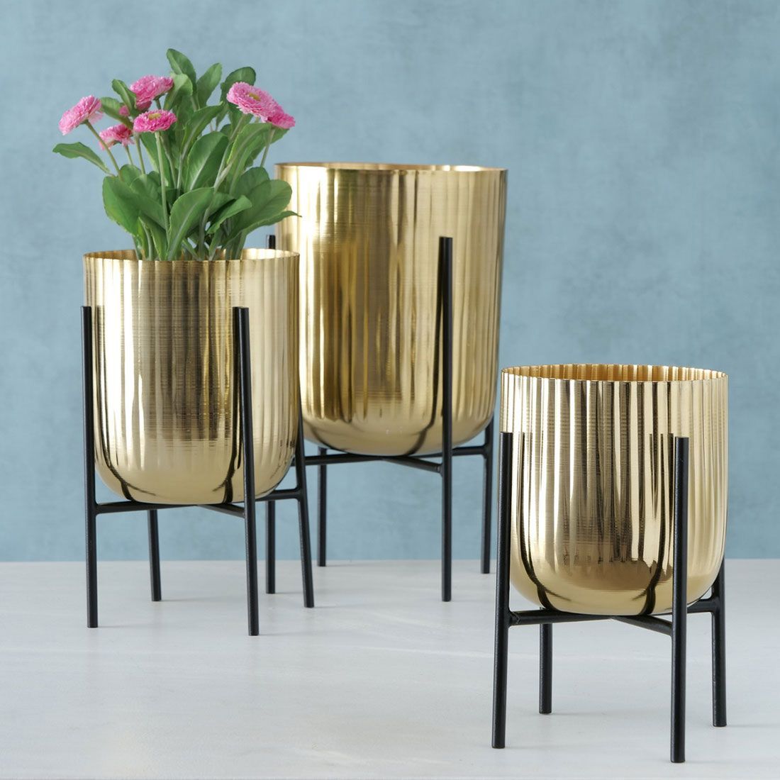 Goldene Pflanztöpfe Goldene Pflanztöpfe