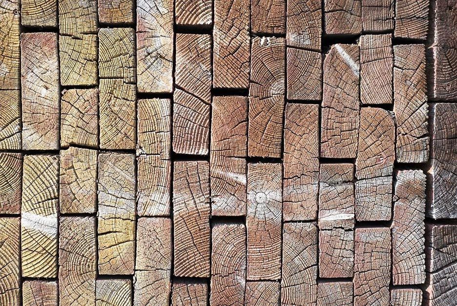 Hirnholz Hirnholz
