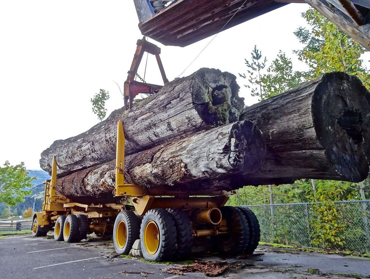 Holz Transport Holz Transport
