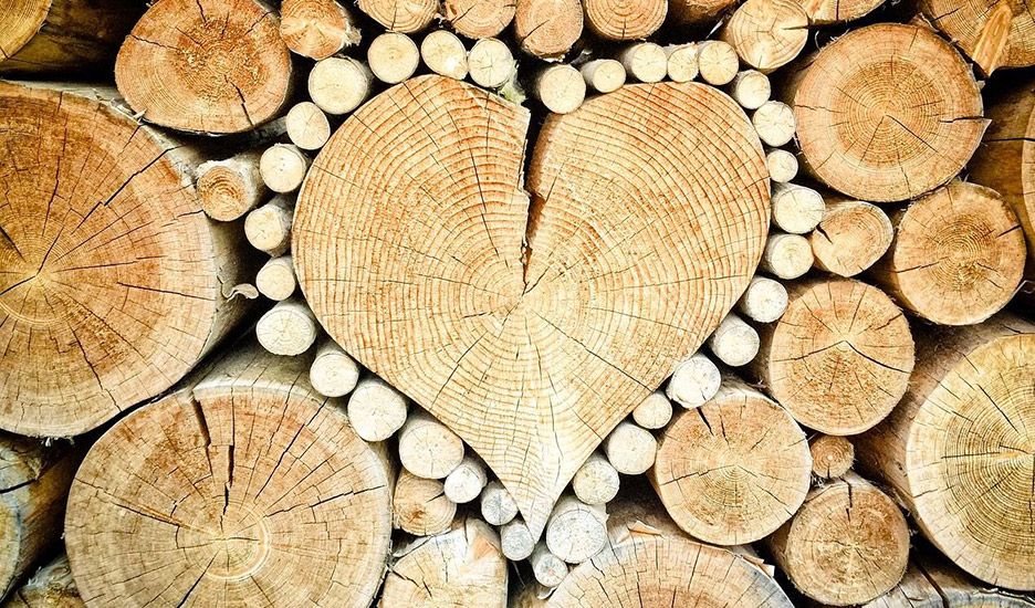 Holz Holz