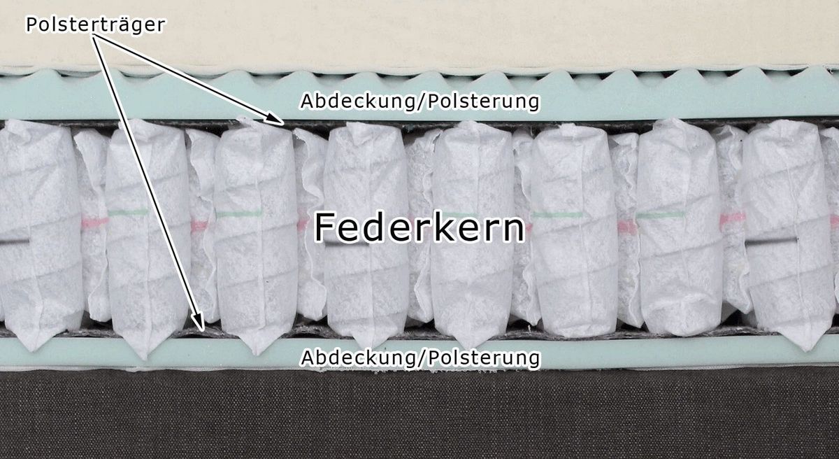 Polsterträger Polsterträger