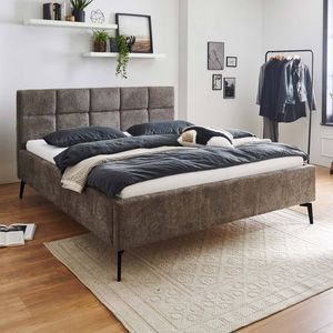 Polsterbett Bennet Komfort Microteddy