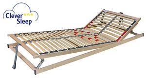Lattenrost Cleverflex Pro