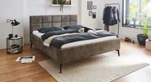 Polsterbett Bennet Komfort Microteddy