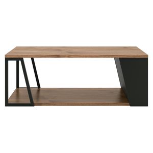 TEMAHOME Albi Couchtisch 100x55cm