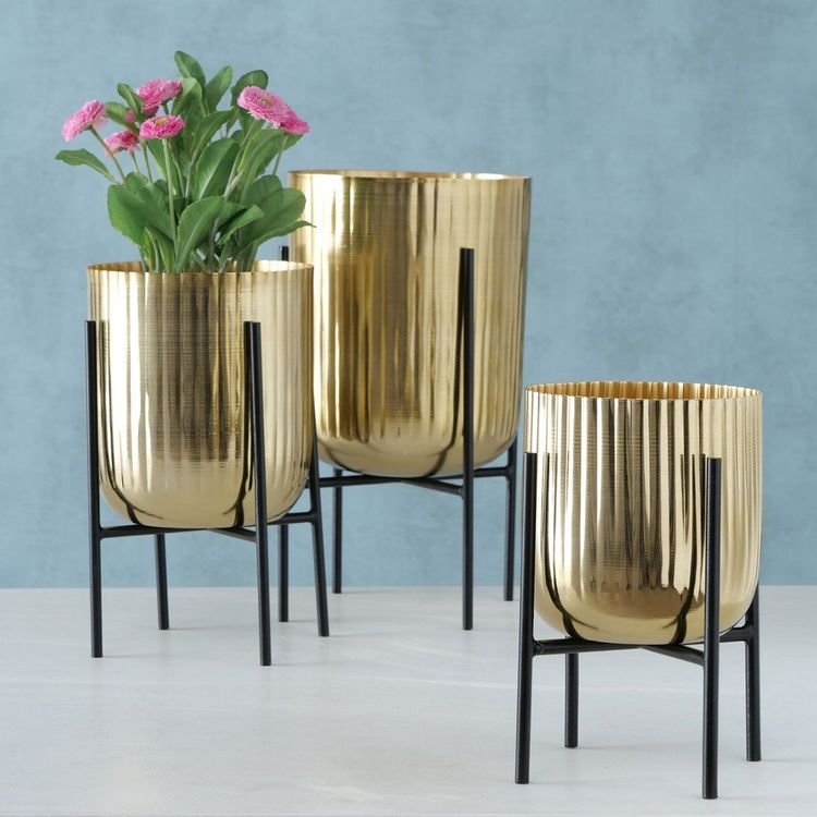 Goldene Pflanztöpfe