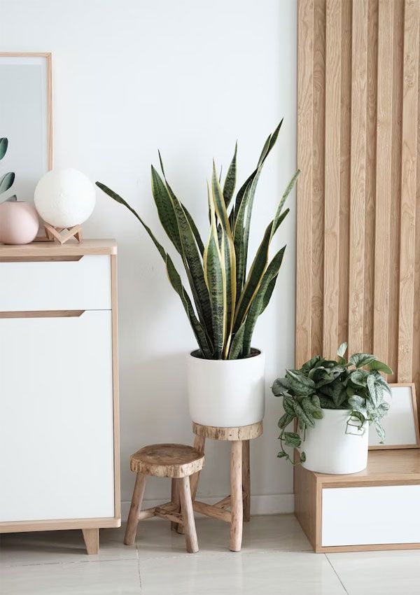 Scandi Chic