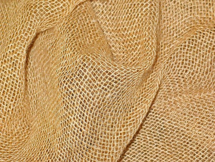Jute