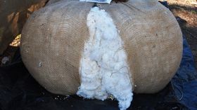 Naturfaser Baumwolle Rohware 1