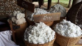 Naturfaser Baumwolle Rohware 2