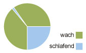 Kreisdiagramm eines biphasischen Schlafmusters