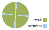 Kreisdiagramm eines Dymaxion-Schlafmusters