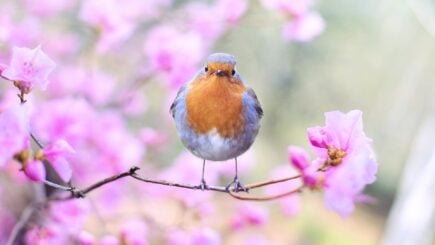 Frühlingsdepression - Müde im Frühling - Was ist normal?