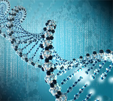 DNA-Kette