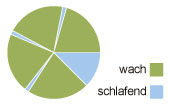Kreisdiagramm eines Jedermann-Schlafmusters