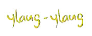Ylang-Ylang Logo