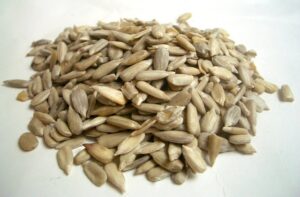 Mineralstoff Magnesium - Sonnenblumenkerne