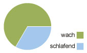 Kreisdiagramm eines monophasischen Schlafmusters