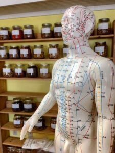 Was ist Traditionelle Chinesische Medizin?