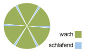 Kreisdiagramm eines Übermensch-Schlafmusters