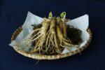Wachmacher - Muntermacher: Ginseng