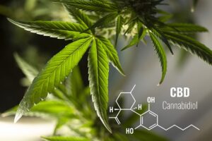 Was ist CBD bzw. Cannabidiol?