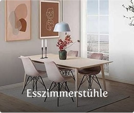 Esszimmerstühle
